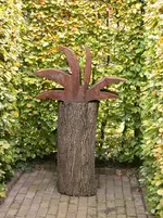 DSCN5041.webp