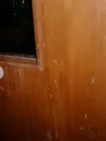 Holztür2.webp