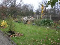 Garten November 017.webp