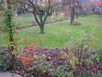 Garten November 015.jpg