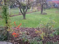 Garten November 015.webp