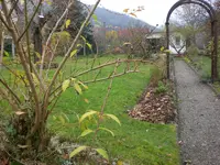 Garten November 018.webp