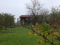 Garten November 032.webp