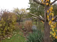 Garten November 009.webp