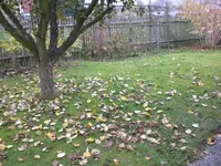 Garten November 021.webp