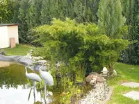 Nach 5 Jahren 2.webp
