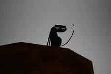 katze5.jpg
