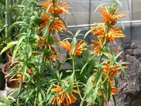 PICT0004.webp