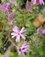 DSC02947.webp