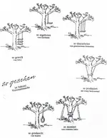 CCF191120018.webp