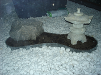 DSC02442.webp