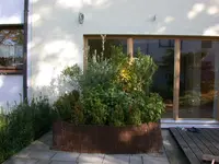 DSCN5194.webp