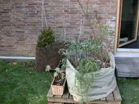 DSCN5203.webp