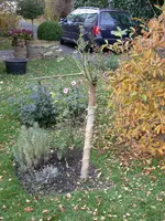 DSCN5214.webp
