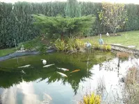 Herbstimpressionen2.webp