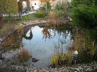 Herbstimpressionen3.webp