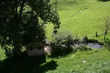 Teich.webp
