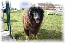 Teddy 2006.webp