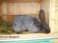P4150032 ich bin Benjamin.webp