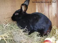 P9240023 Die stolze Mama.webp