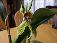 Gebrauchte-1.webp
