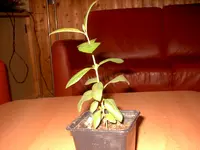 Bild 022.webp