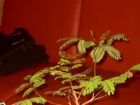 Bild 035.webp