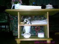 PIC00031.webp