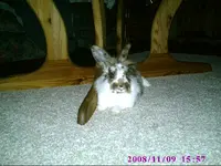 PIC00059.webp