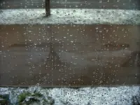 DSCF1333.JPG