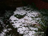 PICT0003.webp