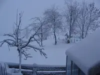 DSC06050 Kopie.webp