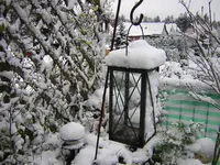 DSCN0517.webp