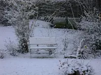 DSCN5237.webp