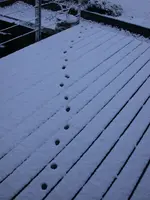 DSCN5231.webp