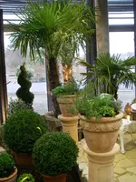 IMGP0061.webp