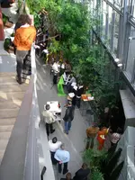 IMGP0078.webp