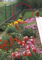 foto (1) (kopie) - Kopie.webp