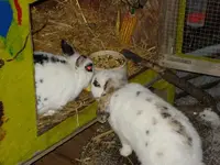 Max_und_Nele_zusammen[1].webp