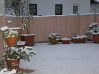 Dachgarten November 004.webp