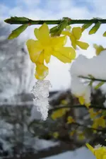 DSC02021.webp