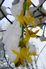 DSC02026(2).webp
