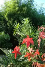 DSC01904.webp