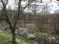 Garten November 002.webp