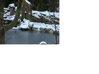 Teich.webp