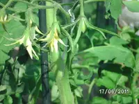 BILD0064.webp