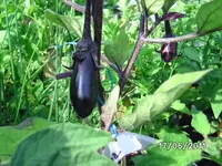 BILD0066.webp