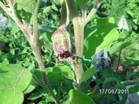 BILD0067.webp