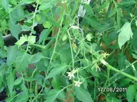 BILD0068.webp