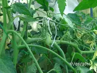 BILD0069.webp